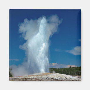 Yellowstone Altes treues Foto Magnet