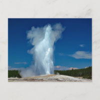 Yellowstone Altes treues Foto