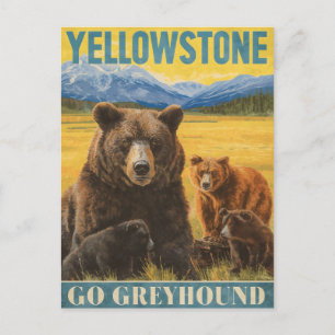 Yellowstone Bears Vintage Travel Postkarte