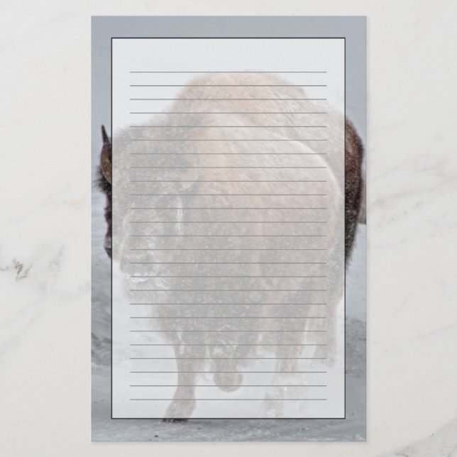 Yellowstone-Bison Briefpapier (Vorderseite)
