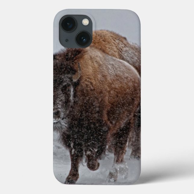 Yellowstone-Bison Case-Mate iPhone Hülle (Rückseite)