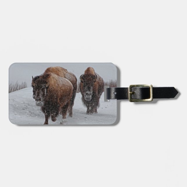 Yellowstone-Bison Gepäckanhänger (Vorderseite horizontal)