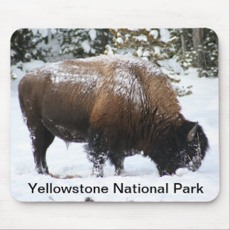 Yellowstone-Bison im Winter Mousepad