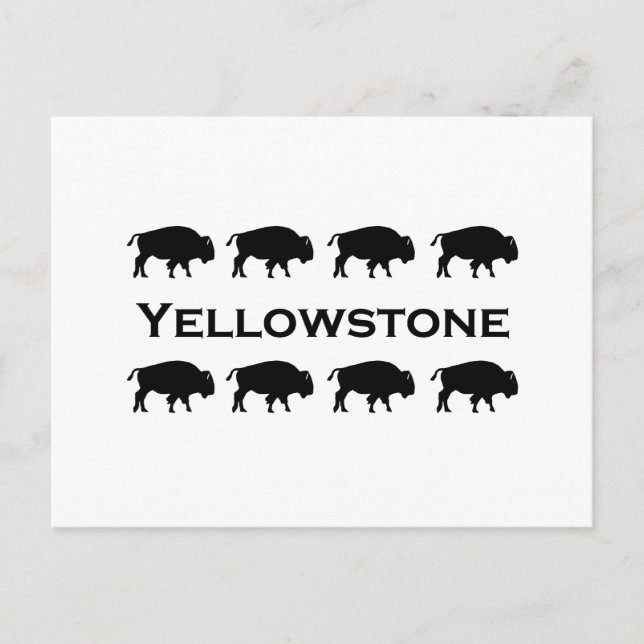 Yellowstone-Bison-Logo Postkarte (Vorderseite)