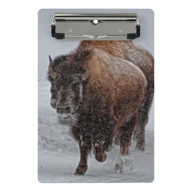 Yellowstone-Bison Mini Klemmbrett (Vorderseite)