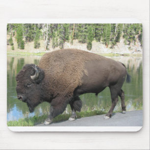 Yellowstone-Bison Mousepad