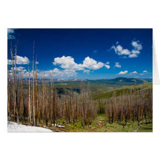 Yellowstone-Brennwald