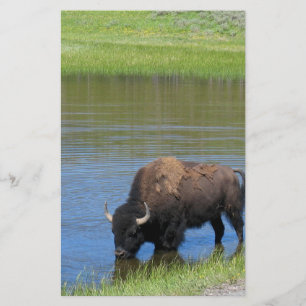 Yellowstone Buffalo Souvenir Briefpapier