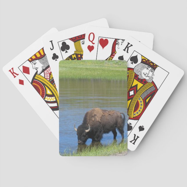 Yellowstone Buffalo Souvenir Spielkarten (Rückseite)