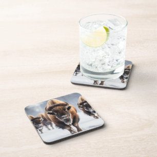 Yellowstone Buffalo Untersetzer Set