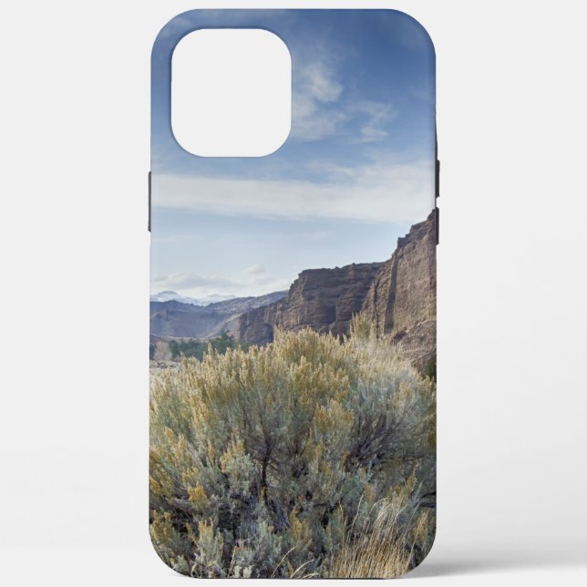 Yellowstone Case-Mate iPhone Hülle (Rückseite)