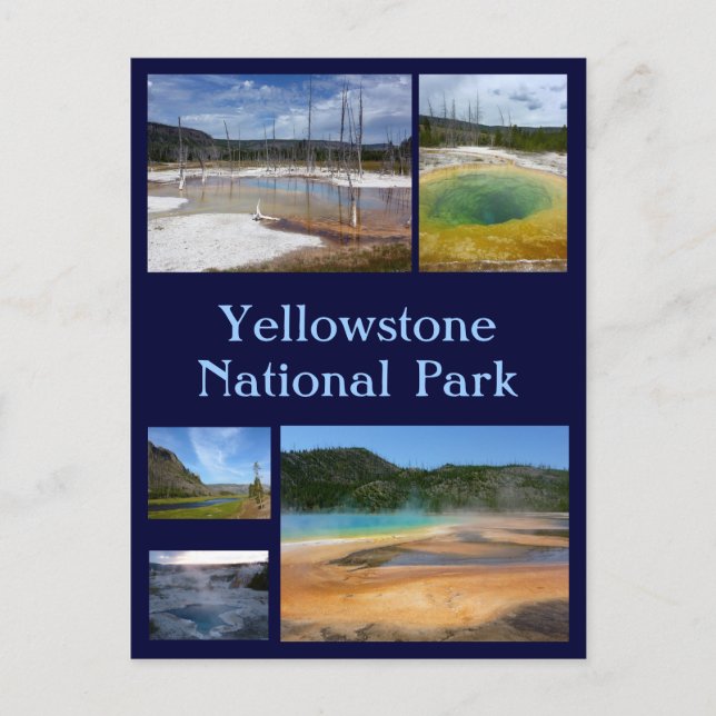 Yellowstone-Collage 1 Postkarte (Vorderseite)