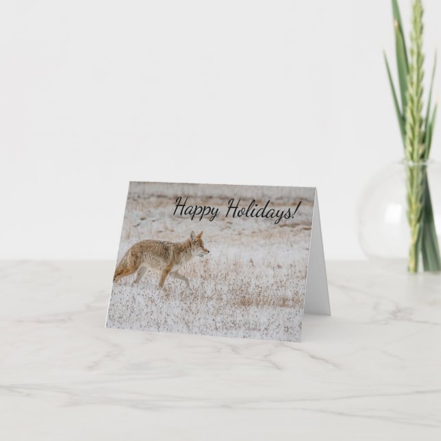 Yellowstone Coyote Greeting Card Karte (Vorderseite)