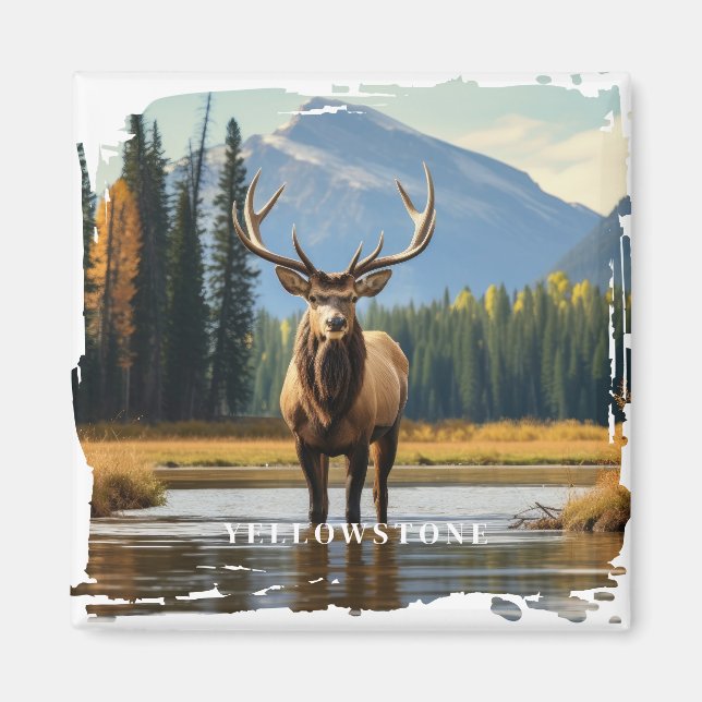 Yellowstone Elk Magnet (Vorne)