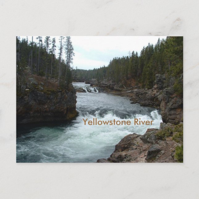 Yellowstone Fluss Postcard Postkarte (Vorderseite)