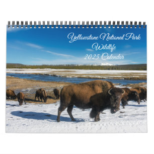 Yellowstone Kalender der wild lebenden Tierarten