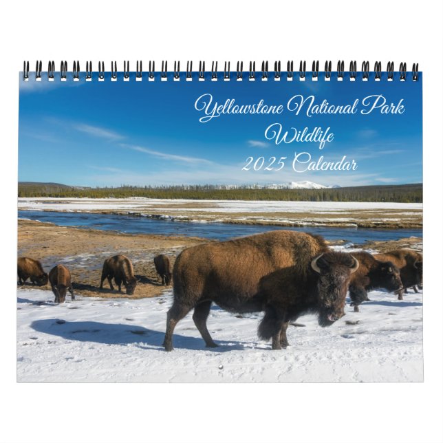 Yellowstone Kalender der wild lebenden Tierarten (Titelbild)