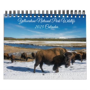 Yellowstone Kalender der wild lebenden Tierarten