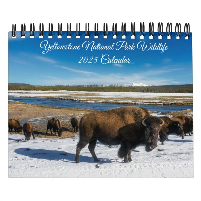 Yellowstone Kalender der wild lebenden Tierarten (Titelbild)