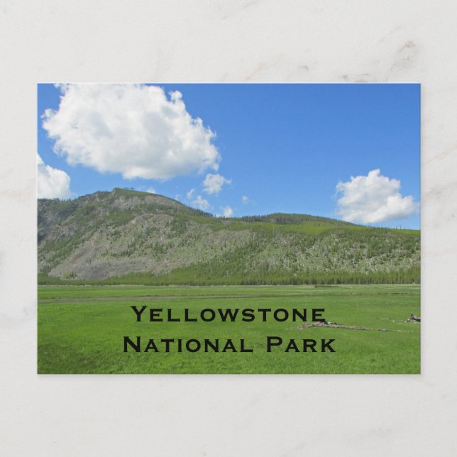Yellowstone Landschaft Foto Nationalpark Berg Postkarte (Vorderseite)