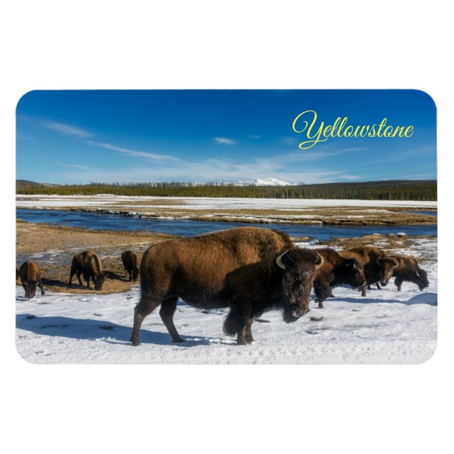 Yellowstone Magnet (Horizontal)