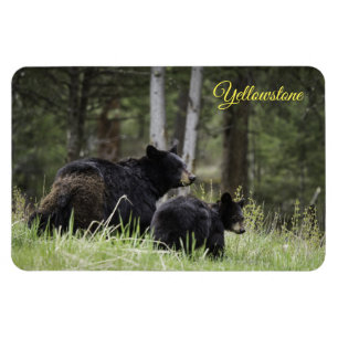 Yellowstone Magnet-Black Bär Magnet