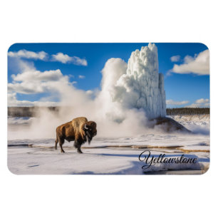 Yellowstone Magnet-Buffalo Geyser Magnet