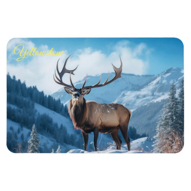 Yellowstone Magnet-Elk Magnet (Horizontal)