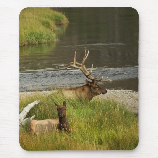 Yellowstone Mates Mousepad (Vorne)