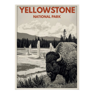 Yellowstone National Park – Bisons Poster