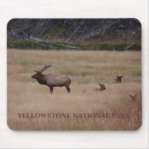 YELLOWSTONE NATIONAL PARK MOUSEPAD