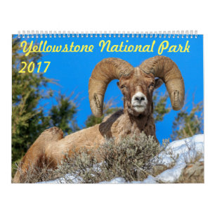 Yellowstone Nationalpark 2017 Wandkalender