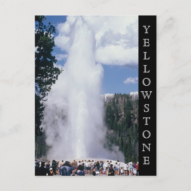 Yellowstone Nationalpark Alte Treppe Postkarte (Vorderseite)