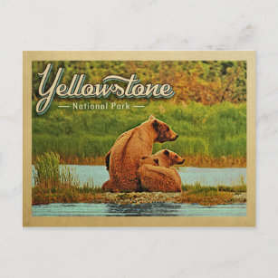 Yellowstone Nationalpark Bears Vintag Postkarte