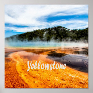 Yellowstone Nationalpark Berge Naturtiere Poster
