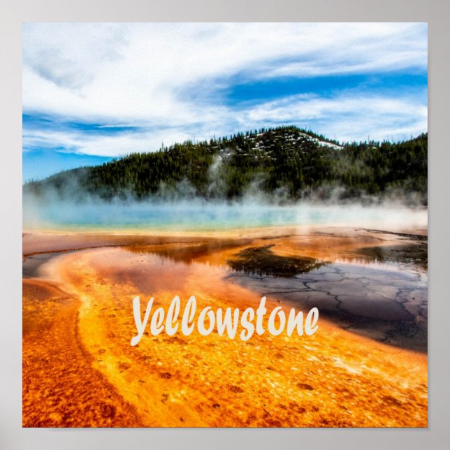 Yellowstone Nationalpark Berge Naturtiere Poster (Vorne)
