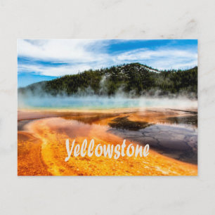 Yellowstone Nationalpark Berge Naturtiere Postkarte