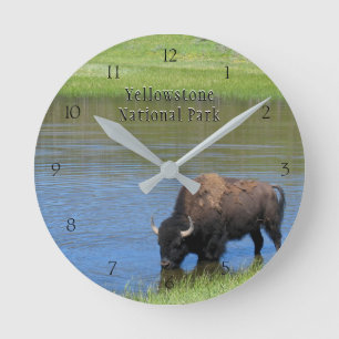 Yellowstone Nationalpark Bison im Teich Runde Wanduhr