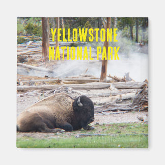 Yellowstone Nationalpark Bison Magnet