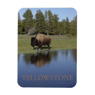 Yellowstone Nationalpark Bison Magnet