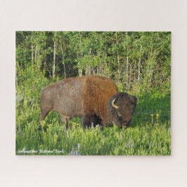 Yellowstone Nationalpark Bison Puzzle