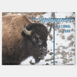 Yellowstone Nationalpark Bison Souvenir Geschenk Magnet