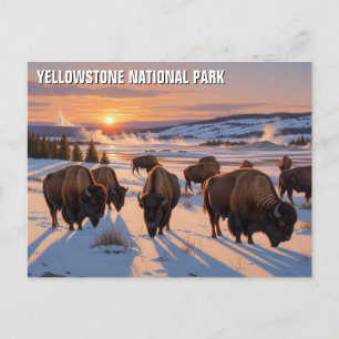 Yellowstone Nationalpark biss Postkarte