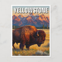 Yellowstone Nationalpark biss