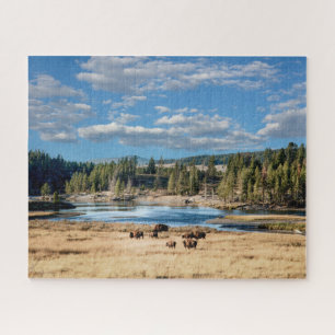 Yellowstone Nationalpark: Buffalo Jigsaw Puzzle