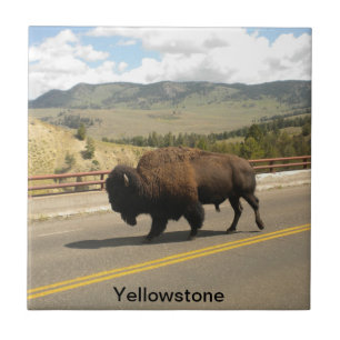 Yellowstone Nationalpark Fliese (2)