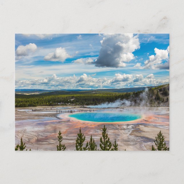 Yellowstone Nationalpark Hot Springs Postkarte (Vorderseite)