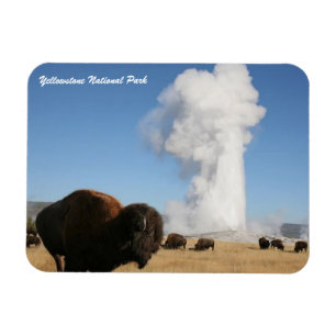 Yellowstone-Nationalpark Magnet