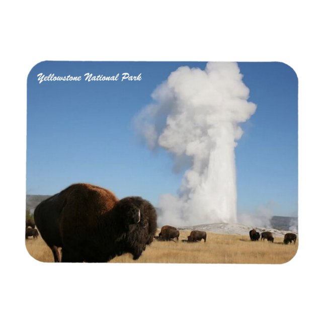 Yellowstone-Nationalpark Magnet (Horizontal)