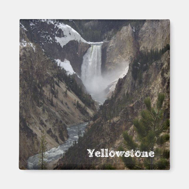 Yellowstone Nationalpark Magnet (Vorne)